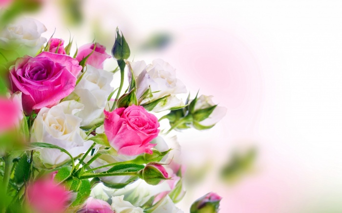 Flowers 311 (30 wallpapers)