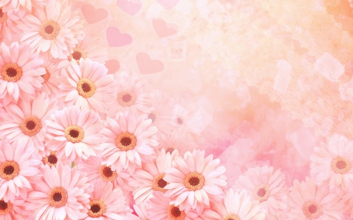 Flowers 359 (30 wallpapers)